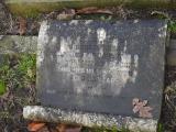 image of grave number 238051
